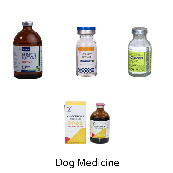Dog Medicine Kit