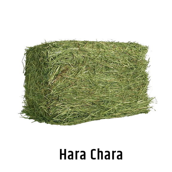 Hara Chara