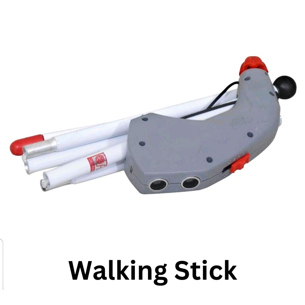 Walking Stick